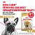 Royal Canin French Bulldog Adult Сухой корм для собак породы Французский бульдог, 3 кг