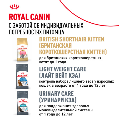 ROYAL CANIN British Shorthair Корм сухой для кошек породы Британская короткошерстная, 2 кг