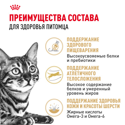 Сухой корм Royal Canin Bengal Adult для взрослых кошек бенгальской породы (Бенгал эдалт) 400 г