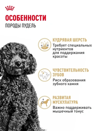Сухой корм для собак породы пудель Royal Canin 1,5 кг
