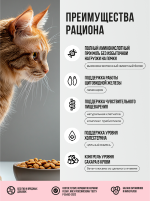 Корм для взрослых кошек BOWL WOW сухой полнорационный с индейкой и яблоком 400 г