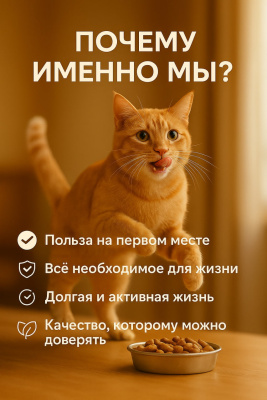 Сухой корм Delish Super Premium для стерилизованных кошек , Индейка с рисом,  2 кг