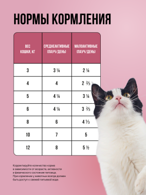 Влажный корм BOWL WOW для стерилизованных кошек с лососем и овощами,  кусочки в соусе 12х85 г