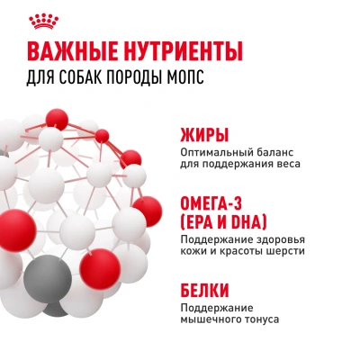 Сухой корм для собак Royal Canin породы Мопс 500 г