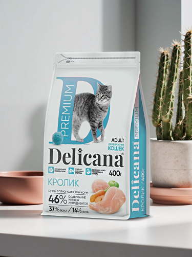 Сухой корм DELICANA для кошек с кроликом 0,4кг 