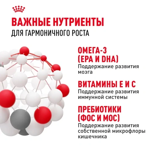 Влажный корм Royal Canin для щенков минипород в соусе 85 г.
