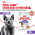 Royal Canin Sterilised Консервированный корм для стерилизованных кошек, кусочки в соусе, 85 г