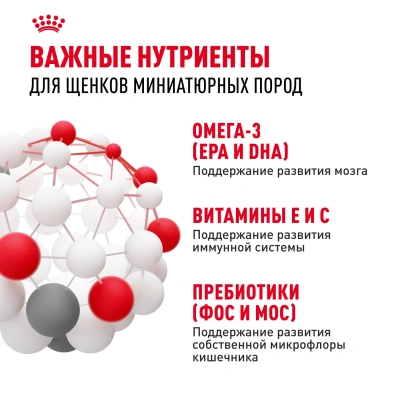 ID61977__Royal Canin X-SMALL JUNIOR Сухой корм для щенков мелких пород (2-10 мес/до 4кг), 0,5 кг