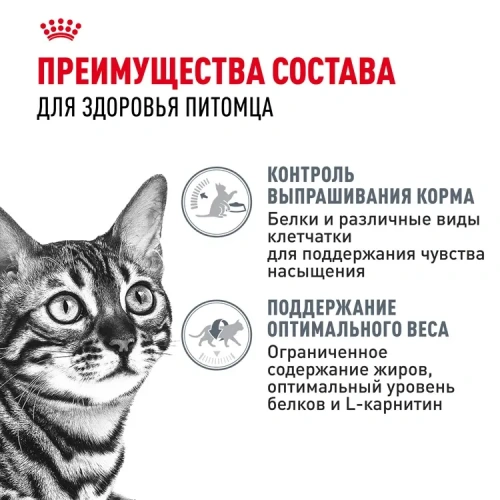 Влажный корм Royal Canin Appetite Control Care для кошек, контроль выпрашивания корма в соусе, 85гр