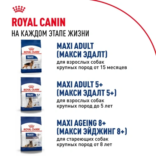 Сухой корм Royal Canin Maxi Puppy для щенков крупных пород  с курицей, 3 кг