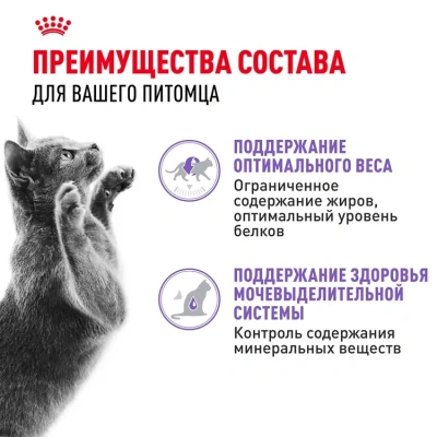 Royal Canin Sterilised Консервированный корм для стерилизованных кошек, в желе, 85 г