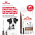 Royal Canin Gastrointestinal Low Fat Small Dog Сухой ветеринарный корм для мелких собак, 3 кг