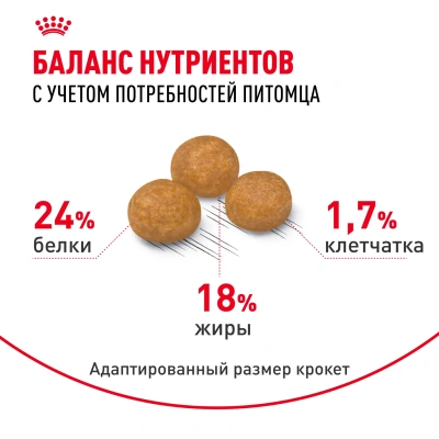 Royal Canin X-SMALL ADULT Сухой корм для взрослых собак мелких пород (до 4 кг), 500 г