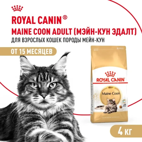 Royal Canin Maine Coon 31 Сухой корм для кошек породы Мейн Кун, 4 кг