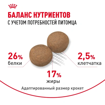 Сухой корм ROYAL CANIN MAXI ADULT 5+ для собак крупных пород старше 5 лет 4 кг
