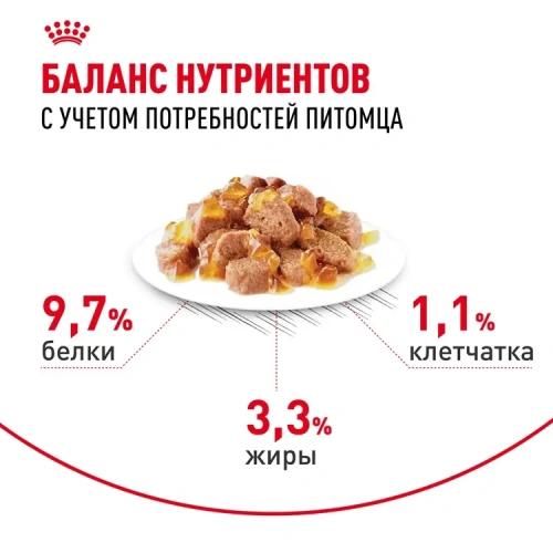 Royal Canin Indoor Sterilised Консервированный корм для домашних кошек, желе, 85 г
