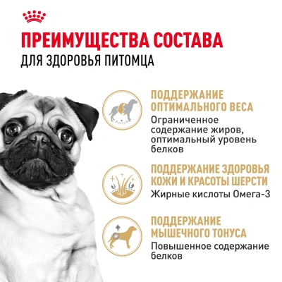 Сухой корм Royal Canin Pug Adult для собак породы Мопс 1.5 кг