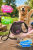 Поводок-рулетка Flexi Black Design tape L 5 м, 50кг, розовая