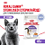 Royal Canin Sterilised Консервированный корм для стерилизованных кошек, в желе, 85 г