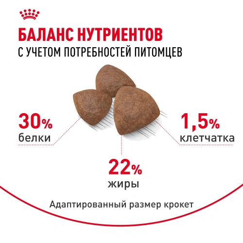 Сухой корм Royal Canin Medium Starter для щенков средних пород ,беременных и кормящих 4 кг