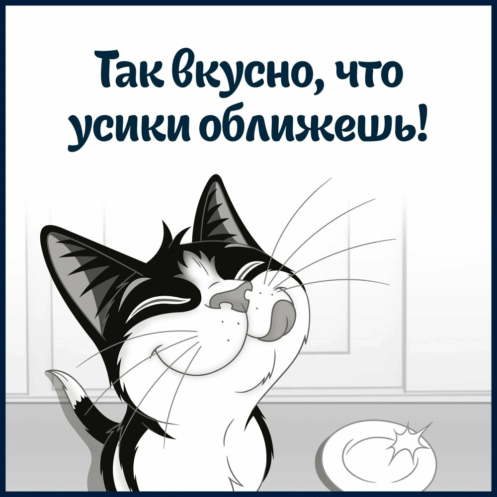 Влажный корм Felix Суп Курица 36x48г