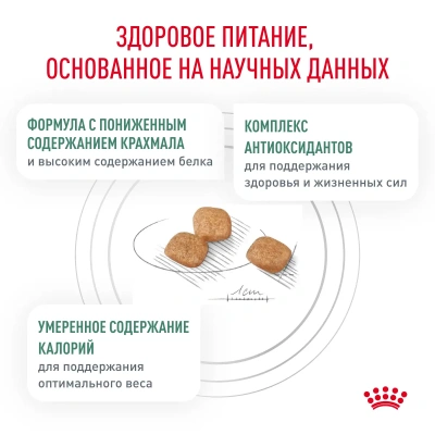 Сухой корм Royal Canin Diabetic для кошек при сахарном диабете - 1,5 кг