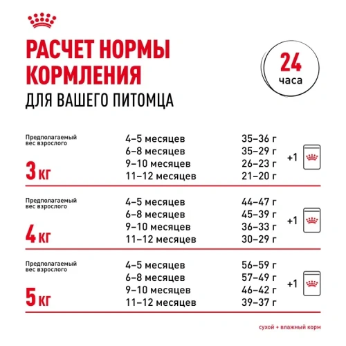ROYAL CANIN British Shorthair Корм сухой для котят породы Британская короткошерстная, 400 г