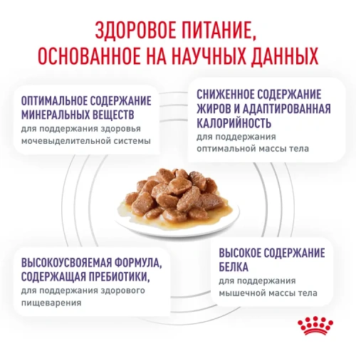 Влажный корм Royal Canine Neutered balance  для стерилизованных кошек до 7 лет в соусе  85 гр