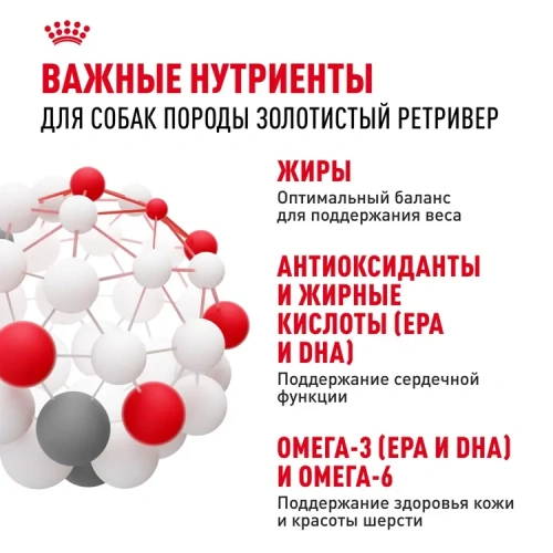 Сухой корм Royal Canin для взрослых собак породы Лабрадор ретривер 3 кг