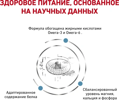 Сухой корм Royal Canin Skin & Coat для стерилизованных кошек с чувствительной кожей - 1,5 кг