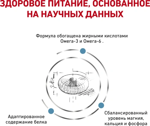 Сухой корм Royal Canin Skin & Coat для стерилизованных кошек с чувствительной кожей - 1,5 кг