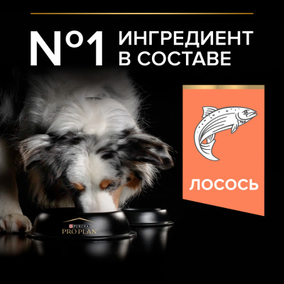 Purina PRO PLAN Dog Сухой корм для собак средних пород с чувствительной кожей, лосось, 14 кг