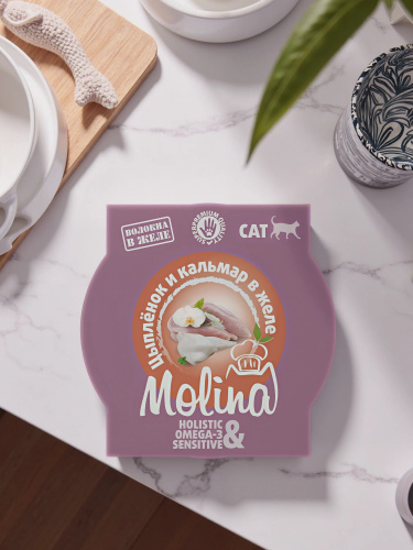 Влажный корм MOLINA, ламистер для взрослых кошек. Цыпленок и кальмар в желе, 12х75г