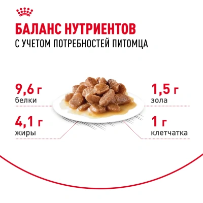 Royal Canin Ageing 12+  Консервированный корм для кошек старше 12 лет,  в соусе 85г.
