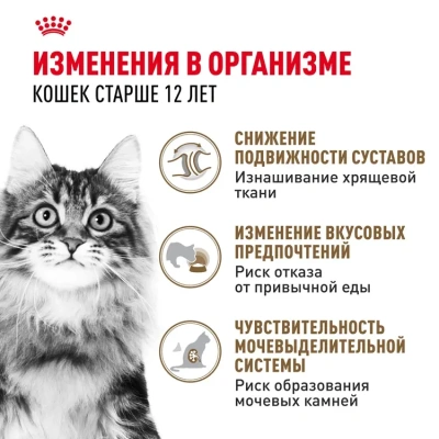Royal Canin Ageing 12+ Консервированный корм для кошек старше 12 лет, кусочки в желе  85 г