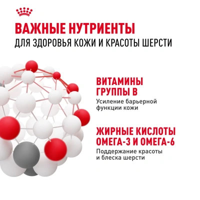 Royal Canin Mini Dermacomfort Сухой корм для собак, 1 кг