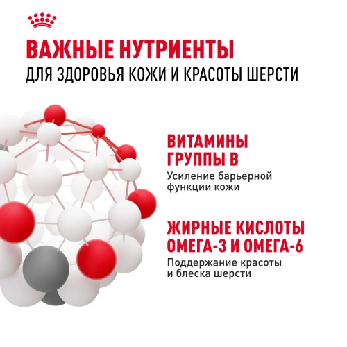 Royal Canin Mini Dermacomfort Сухой корм для собак, 1 кг