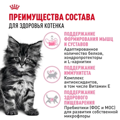 ROYAL CANIN Maine Coon Корм сухой для Котят породы Мейн-Кун, 400 г