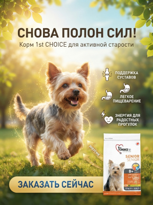 Сухой корм для собак миниатюрных и мелких пород, курица, 350гр, 1st CHOICE 