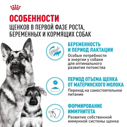 Сухой корм Royal Canin Maxi Starter для щенков крупных пород, беременных и кормящих 4 кг