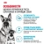 Сухой корм Royal Canin Maxi Starter для щенков крупных пород, беременных и кормящих 4 кг