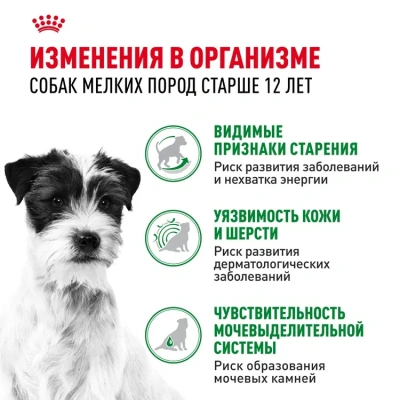 Влажный корм  Royal Canin Mini Ageing 12+, для собак  мелких пород 12+ в  соусе, 85г