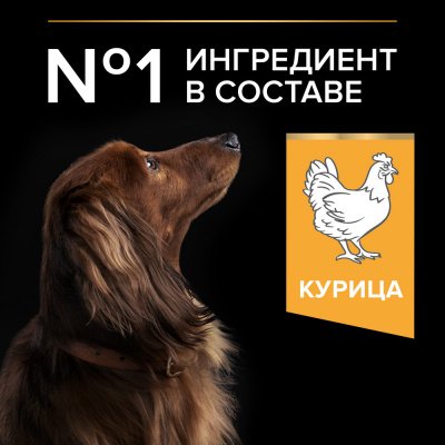 Purina Pro Plan Dog Small & Mini Adult Сухой корм для взрослых собак мелких и карликовых пород, курица и рис, 3 кг