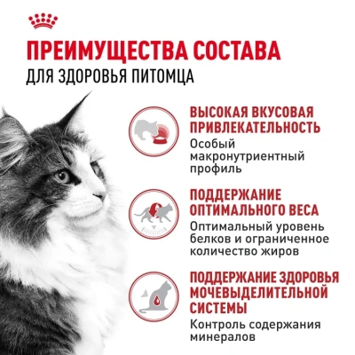 Royal Canin Instinctive Консервированный корм для кошек, кусочки в соусе, 85 г