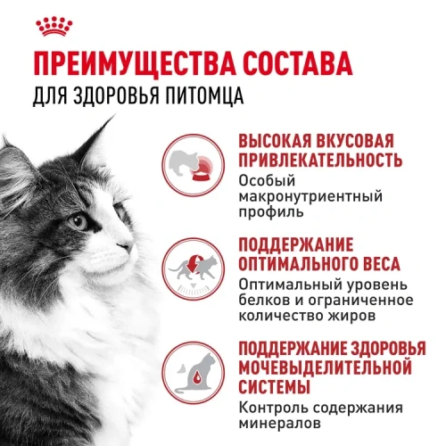 Royal Canin Instinctive Консервированный корм для кошек, кусочки в соусе, 85 г