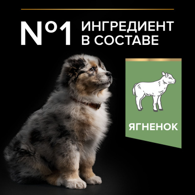 Сухой корм Pro Plan для щенков средних пород с чувствительным пищеварением, с высоким содержанием ягненка 12 кг