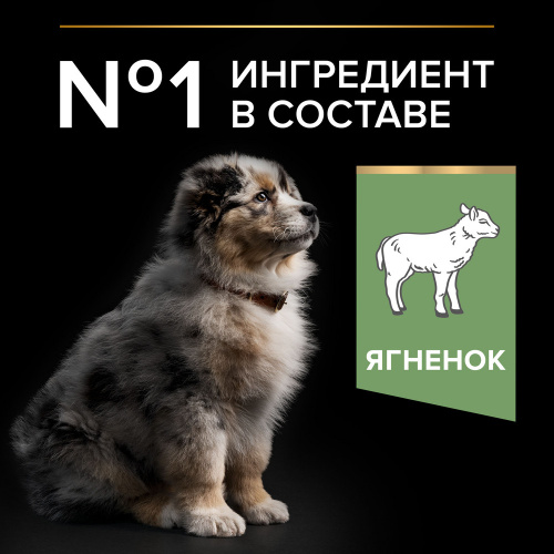 Сухой корм Pro Plan для щенков средних пород с чувствительным пищеварением, с высоким содержанием ягненка 12 кг