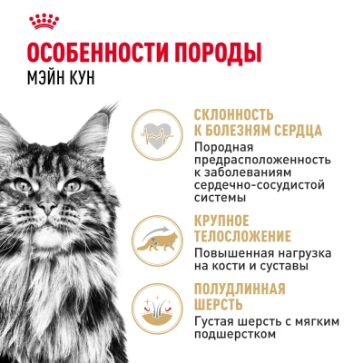 Влажный корм Royal Canin Maine Coon Adult для взрослых кошек породы Мэйн Кун в соусе 28*85 г