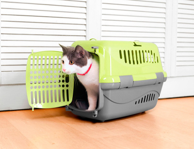 Зооэкспресс 17213, переноска "Турне" S с пласт.дверцей 42*29*29,5 см зеленая