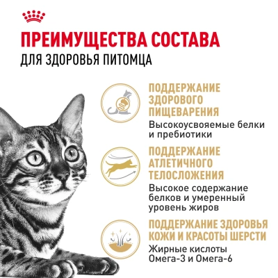 Сухой корм Royal Canin Bengal Adult для взрослых кошек бенгальской породы (Бенгал эдалт) 2 кг